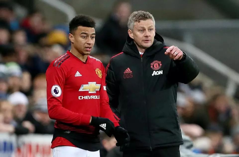 本智在粉丝 本智在粉丝